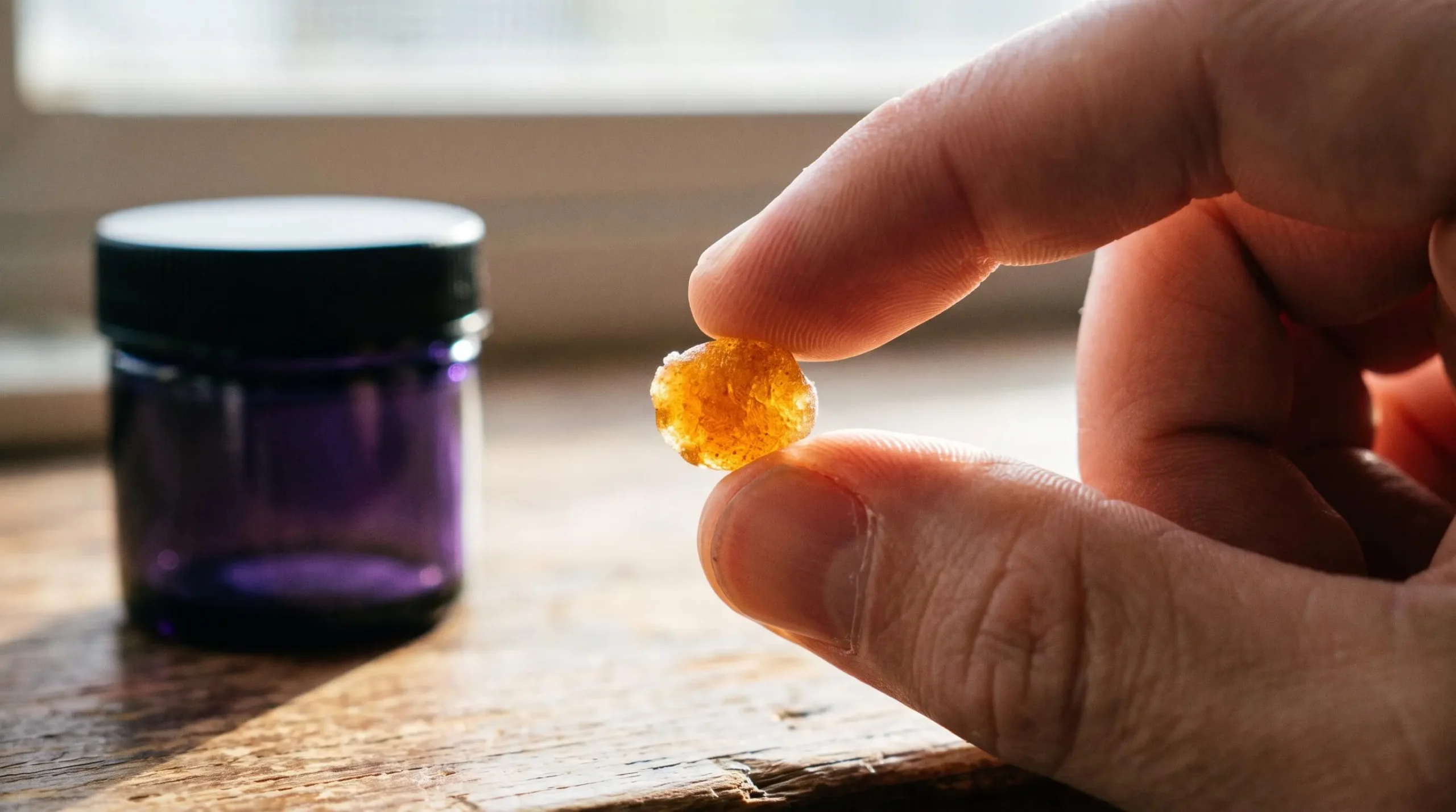 Examen en gros plan de la texture et de la qualité d'une résine de CBD premium révélant les trichomes et la translucidité ambrée